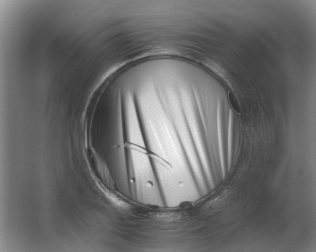 X0000063521127200602032103