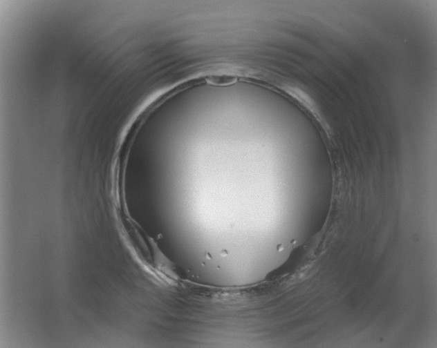 X0000063521128200602032103