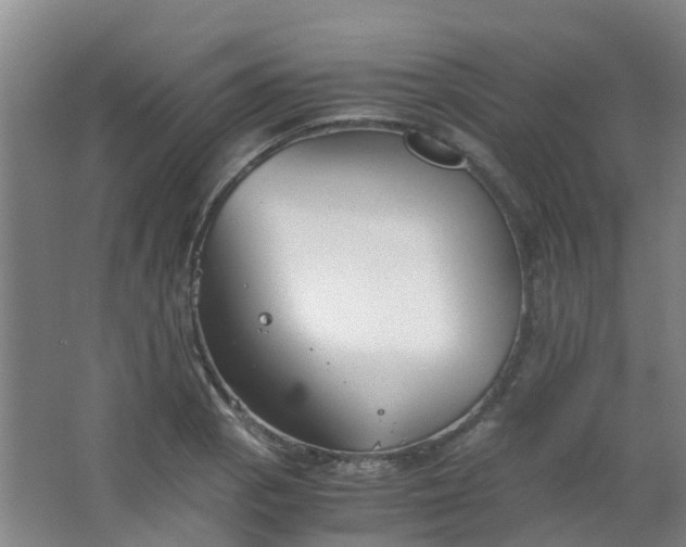 X0000063521129200602032103