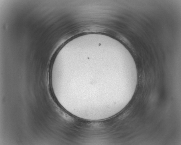 X0000063521130200602032103