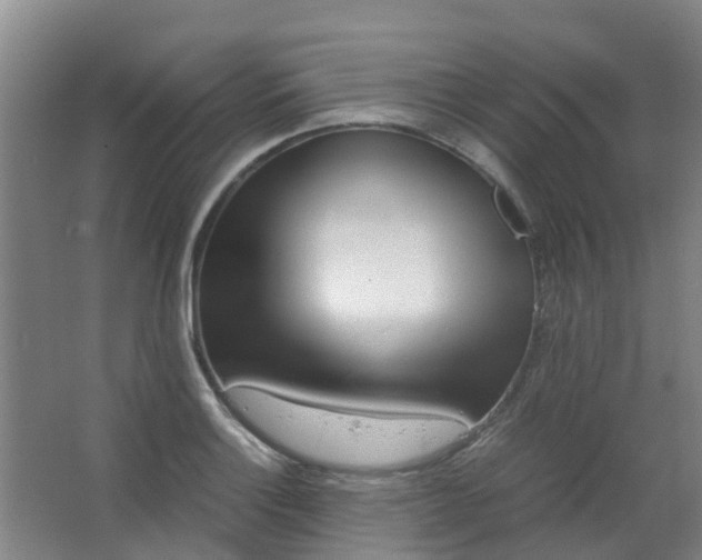 X0000063521132200602032103