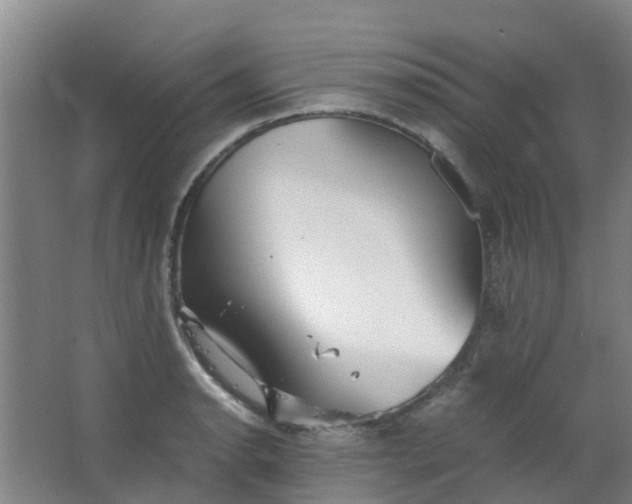 X0000063521134200602032103