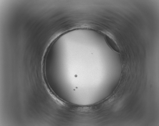 X0000063521135200602032103