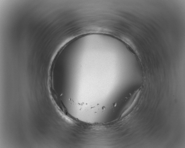 X0000063521136200602032103