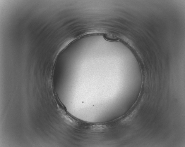 X0000063521137200602032103