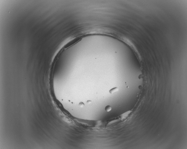 X0000063521138200602032103