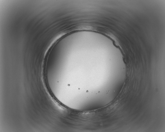 X0000063521139200602032103