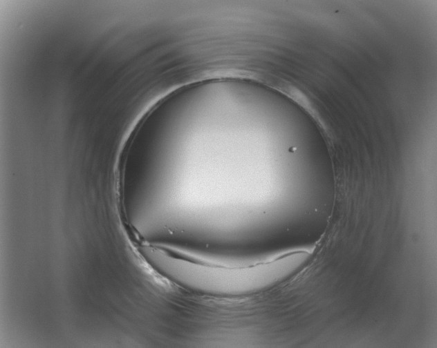 X0000063521140200602032103