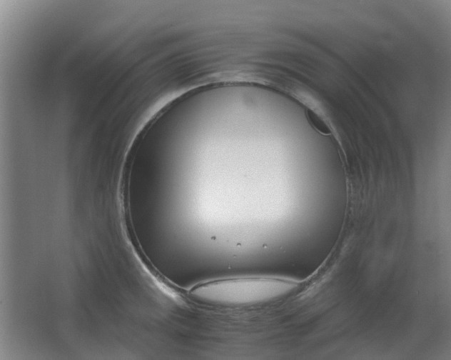 X0000063521141200602032103