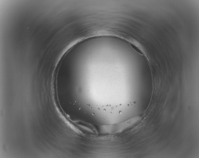 X0000063521142200602032103