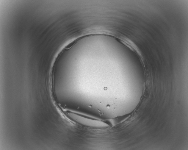 X0000063521144200602032103