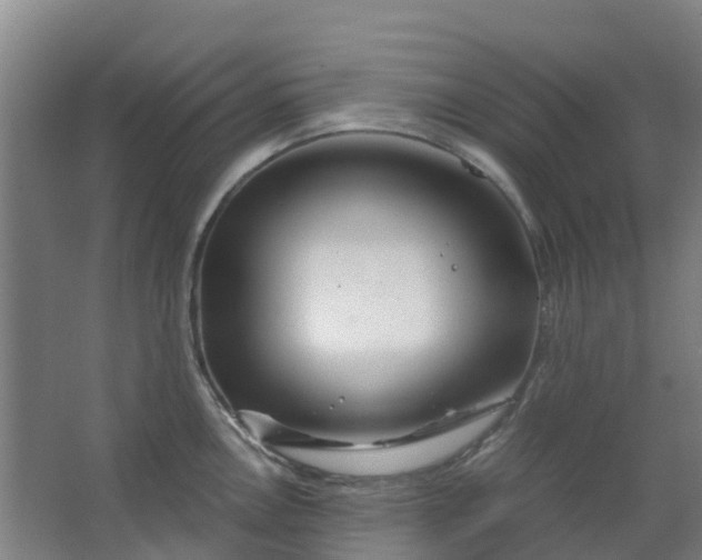 X0000063521146200602032103