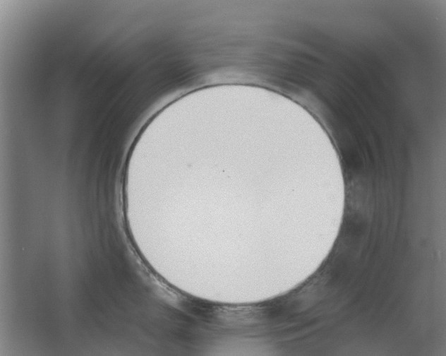 X0000063521150200602032103