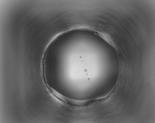 X0000063521151200602032103