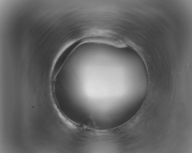 X0000063521152200602032103