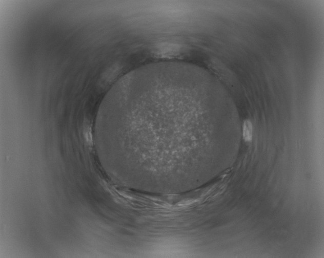 X0000063521155200602032102