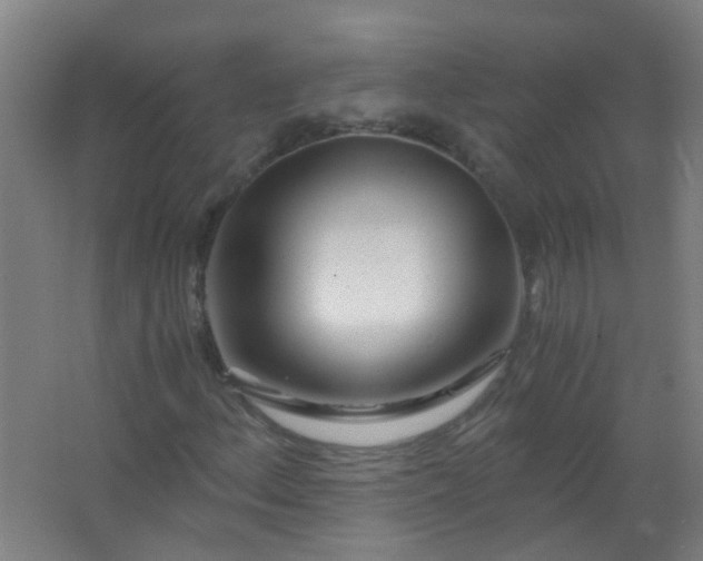 X0000063521156200602032102