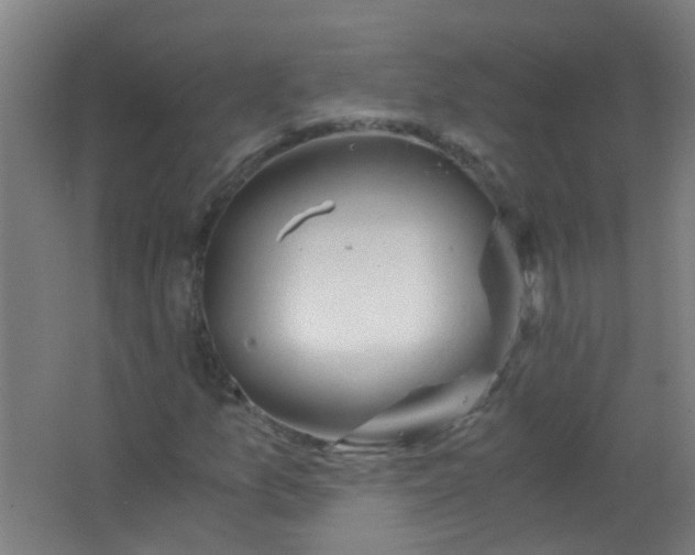 X0000063521157200602032102