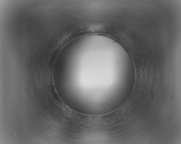 X0000063521158200602032102