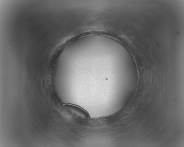 X0000063521159200602032102