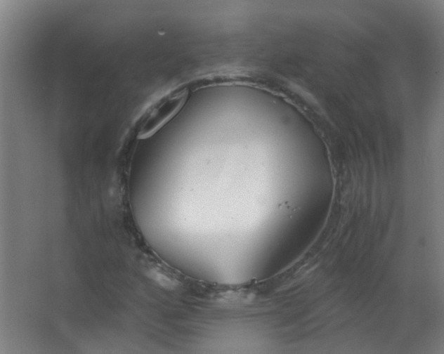 X0000063521160200602032102