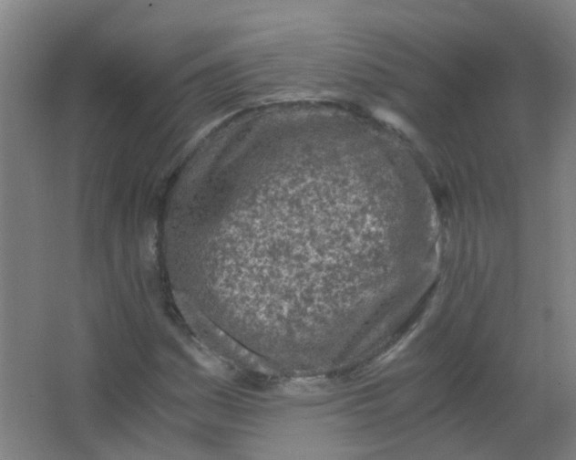 X0000063521161200602032102