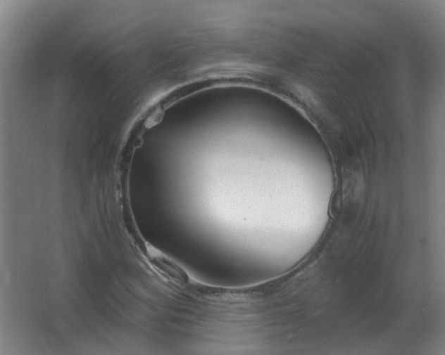 X0000063521164200602032102