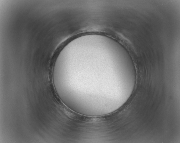 X0000063521166200602032102