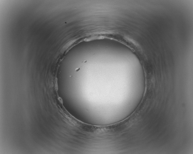 X0000063521169200602032102