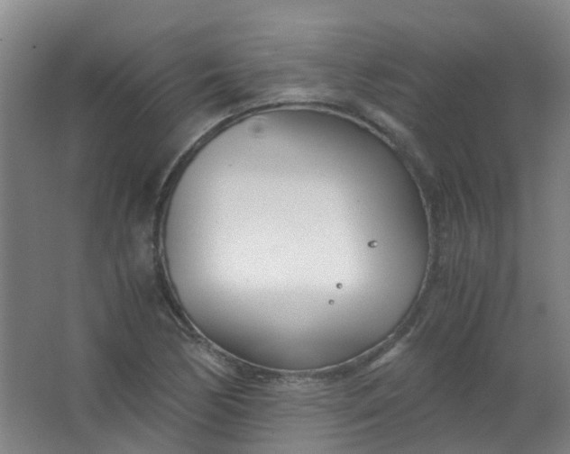 X0000063521170200602032102