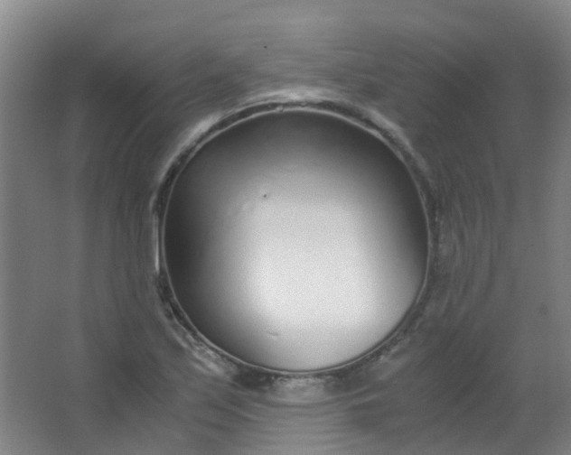 X0000063521171200602032102