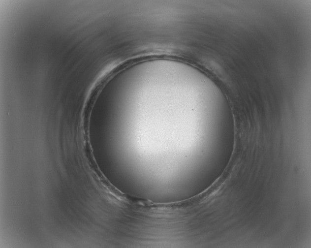 X0000063521172200602032102