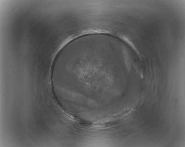 X0000063521173200602032102