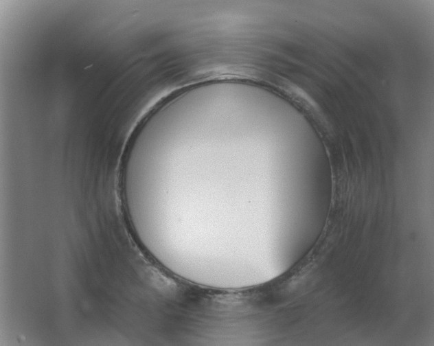 X0000063521182200602032102