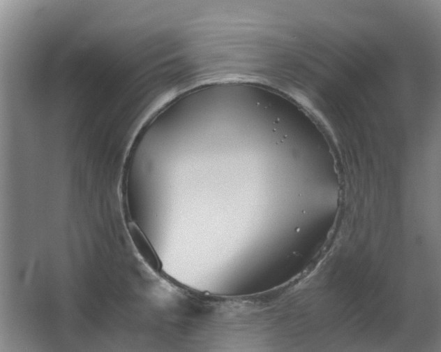 X0000063521189200602032102