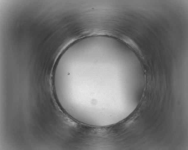 X0000063521190200602032102