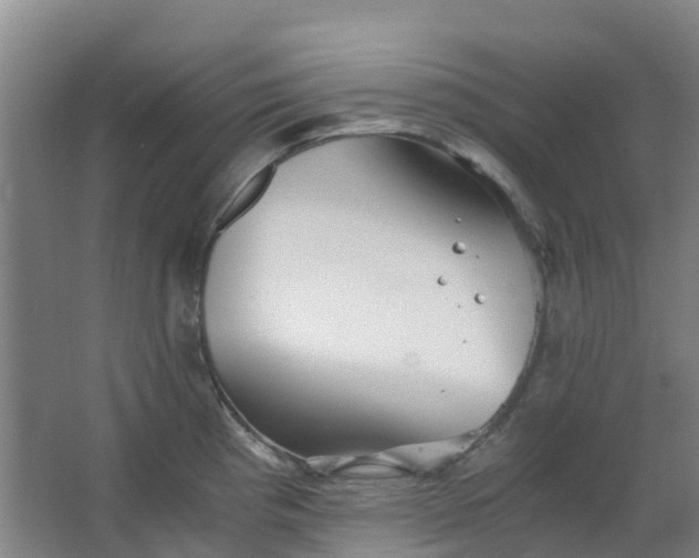 X0000063521193200602032102