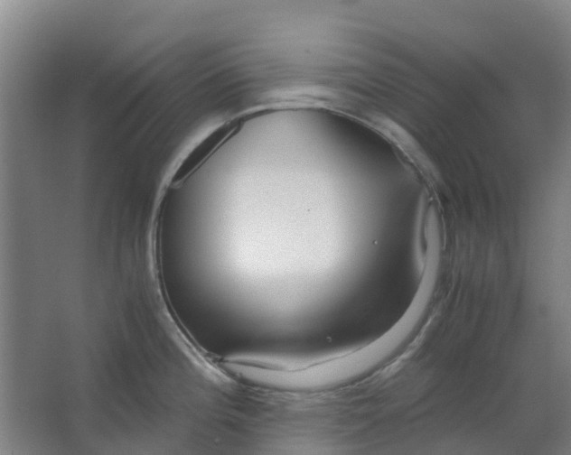 X0000063521196200602032102