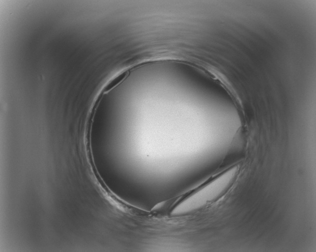 X0000063521197200602032102