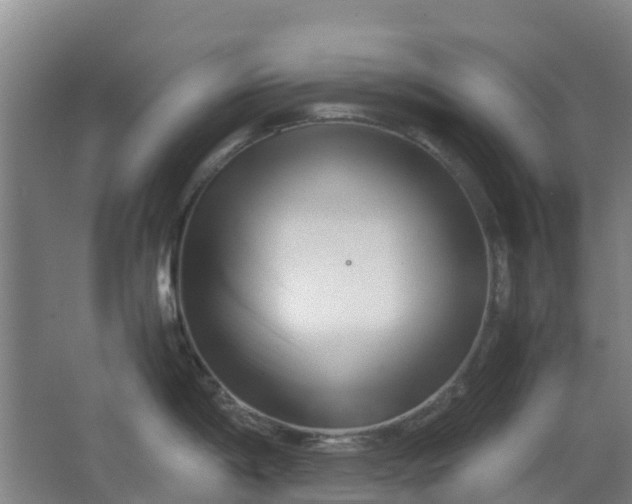 X0000063521198200602032102