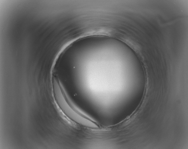 X0000063521200200602032102