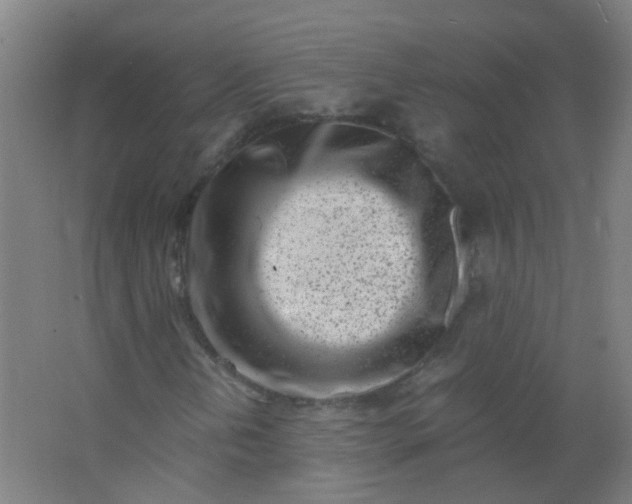 X0000063521202200602032101