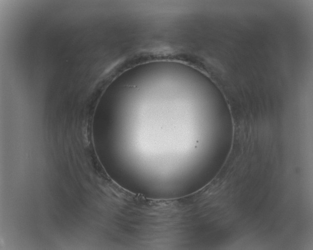 X0000063521205200602032101