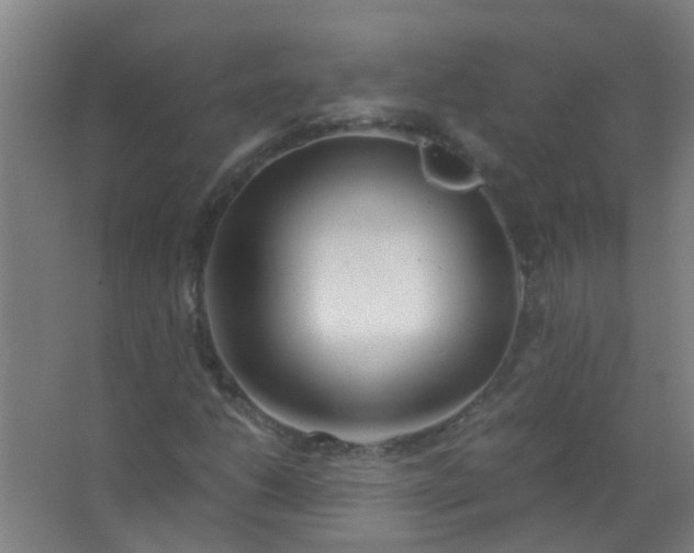 X0000063521206200602032101