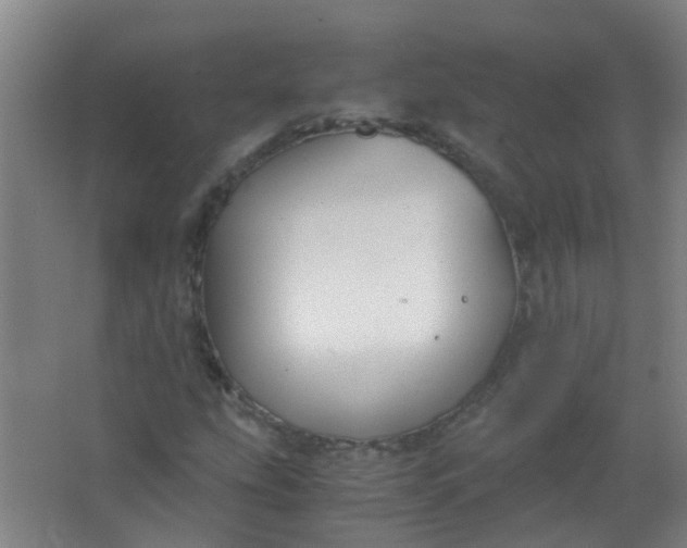 X0000063521207200602032101