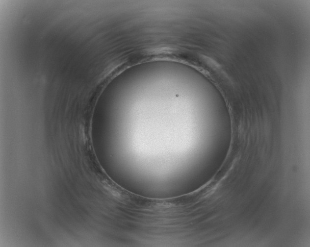 X0000063521209200602032101