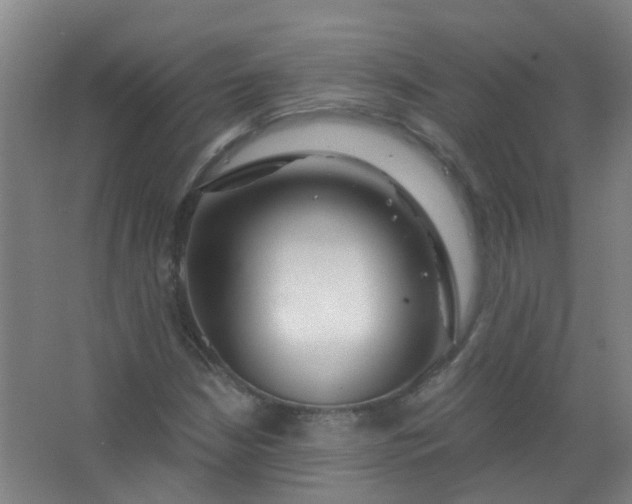 X0000063521210200602032101