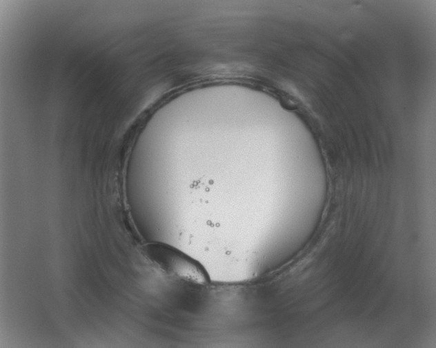 X0000063521211200602032101