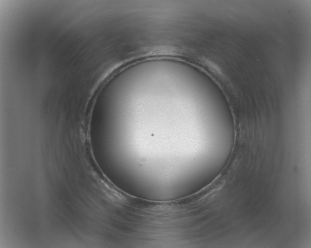 X0000063521212200602032101