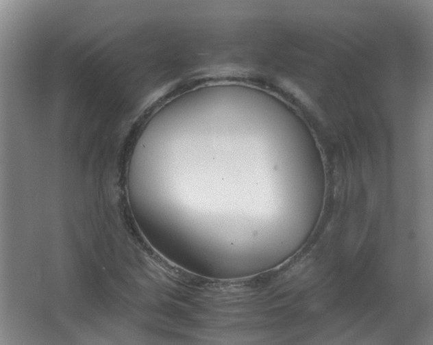 X0000063521213200602032101